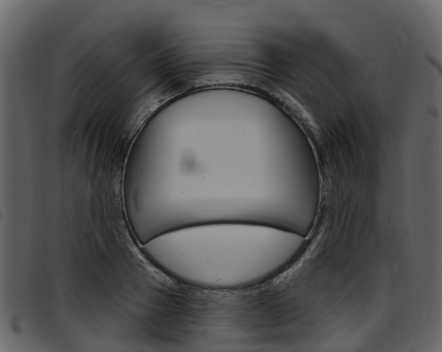 X0000097650937200802290843
