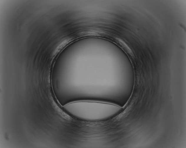 X0000097650938200802290843