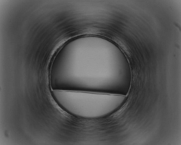 X0000097650939200802290843