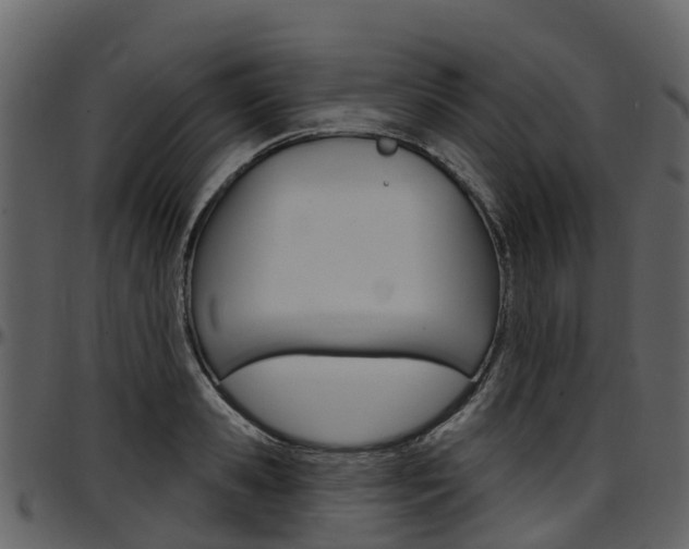 X0000097650941200802290843