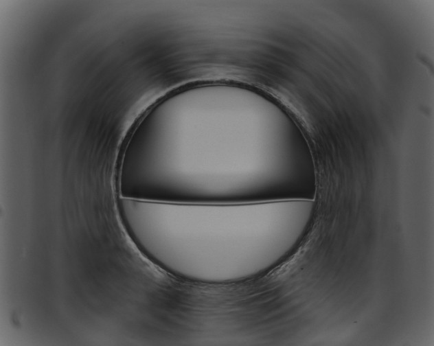 X0000097650943200802290843