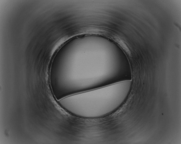 X0000097650944200802290843