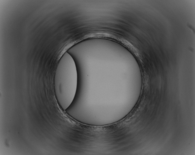 X0000097650945200802290843