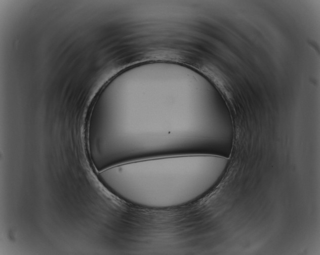 X0000097650947200802290843