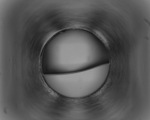 X0000097650948200802290843
