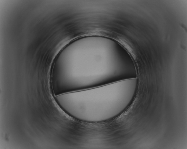 X0000097650949200802290843