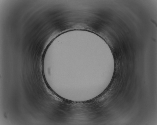 X0000097650950200802290843