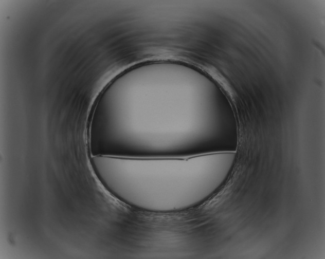 X0000097650951200802290843