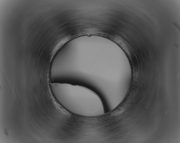 X0000097650954200802290843