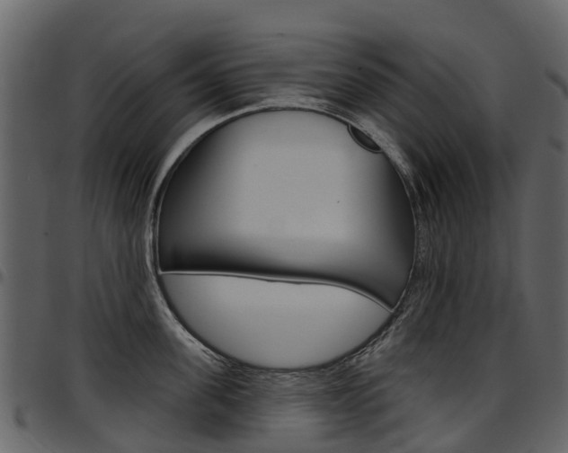 X0000097650955200802290843