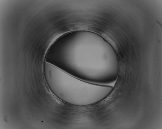 X0000097650956200802290843