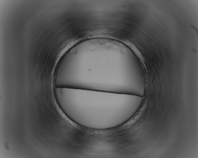 X0000097650957200802290843