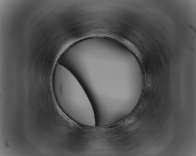 X0000097650958200802290843