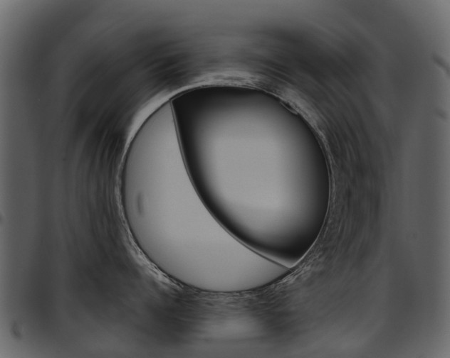 X0000097650960200802290843