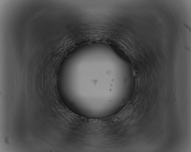 X0000097650961200802290842
