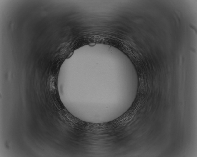 X0000097650962200802290842