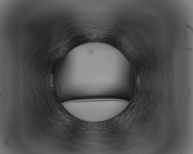 X0000097650963200802290842