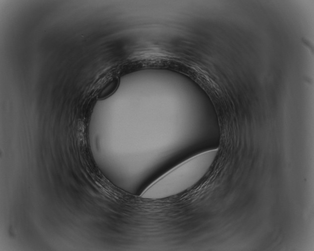 X0000097650964200802290842