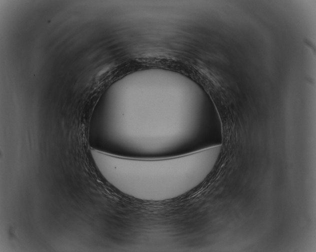 X0000097650965200802290842
