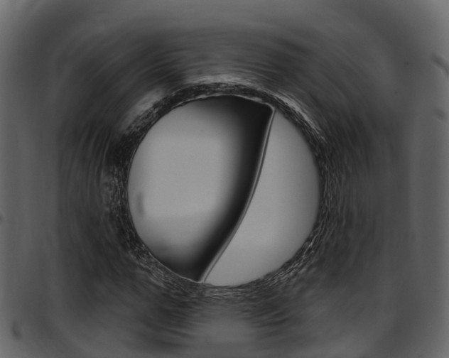 X0000097650967200802290842