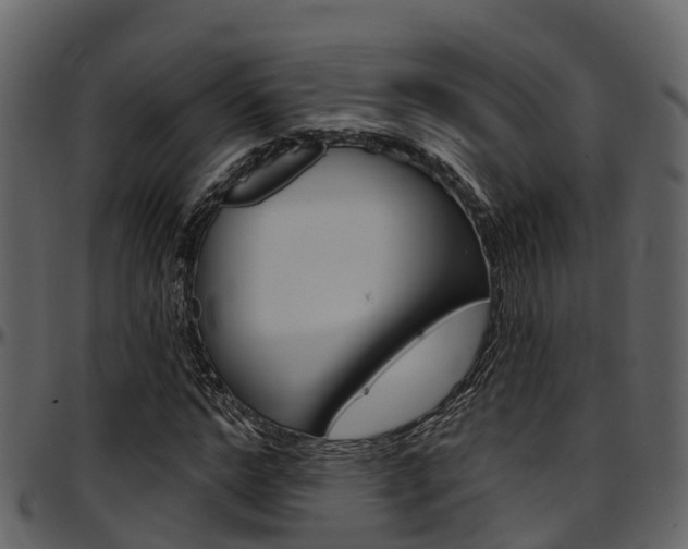 X0000097650968200802290842