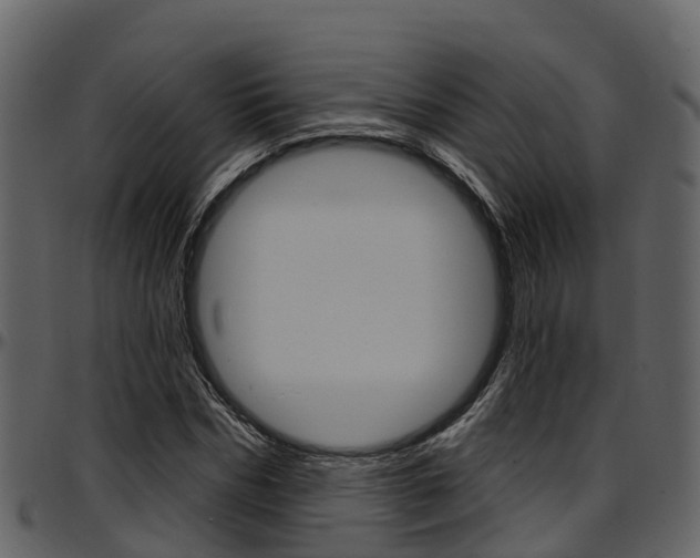 X0000097650970200802290842