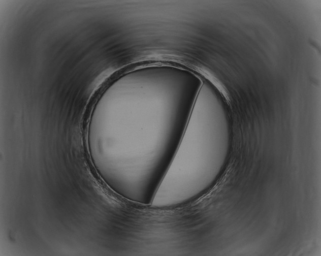 X0000097650972200802290842