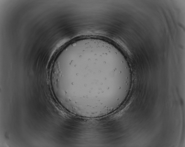 X0000097650974200802290842