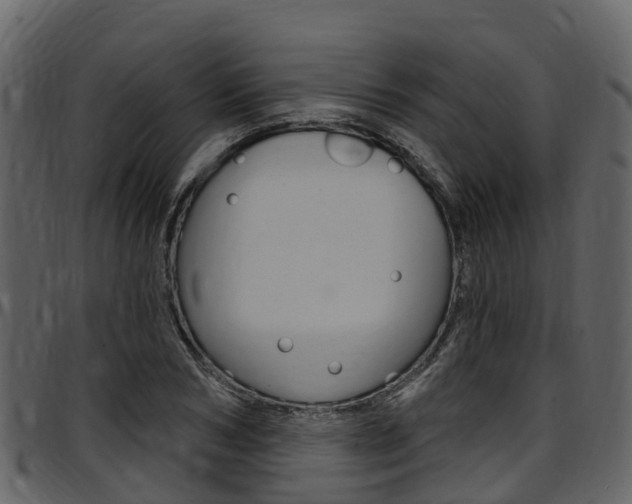 X0000097650978200802290842