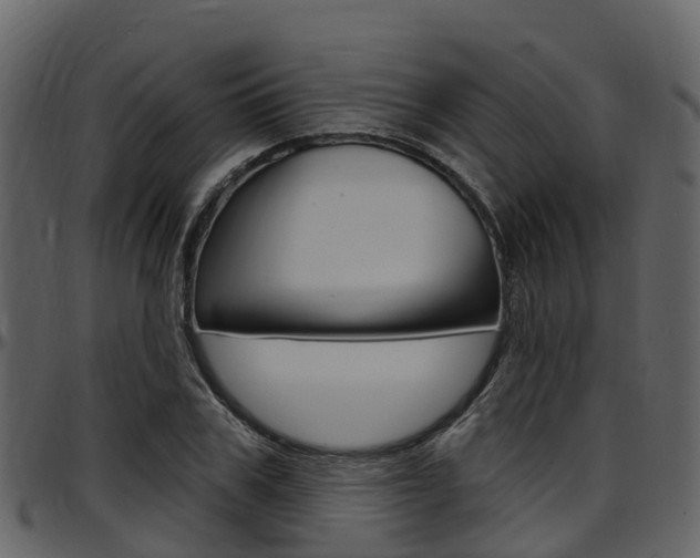 X0000097650979200802290842