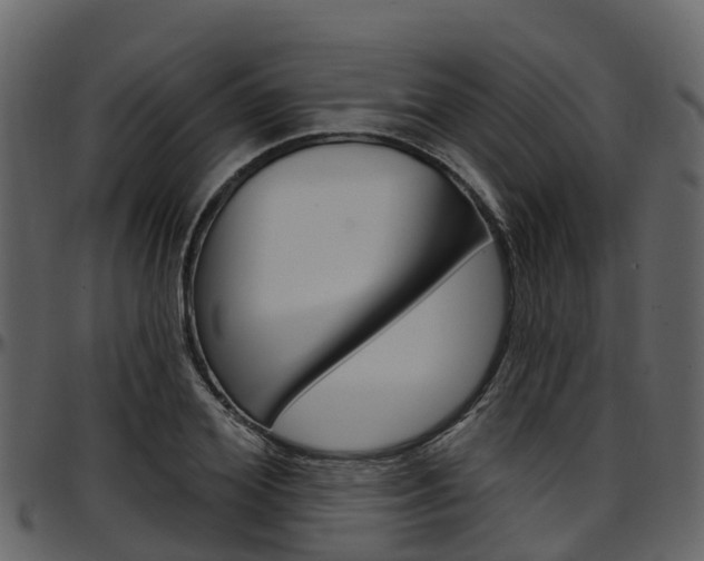 X0000097650980200802290842