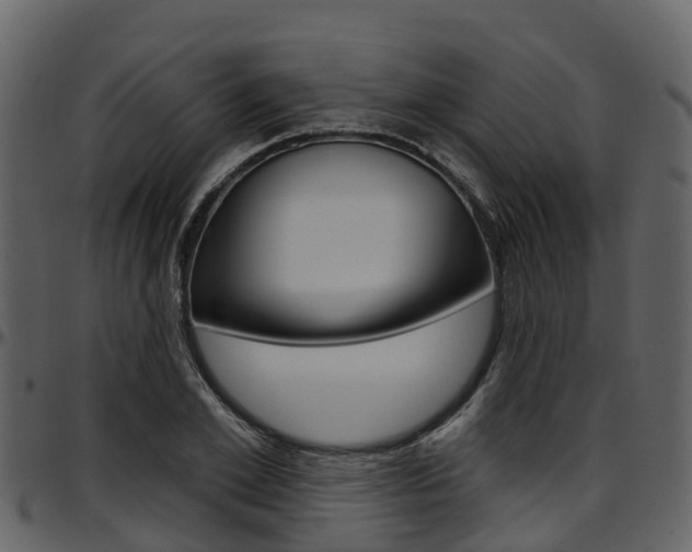X0000097650981200802290842
