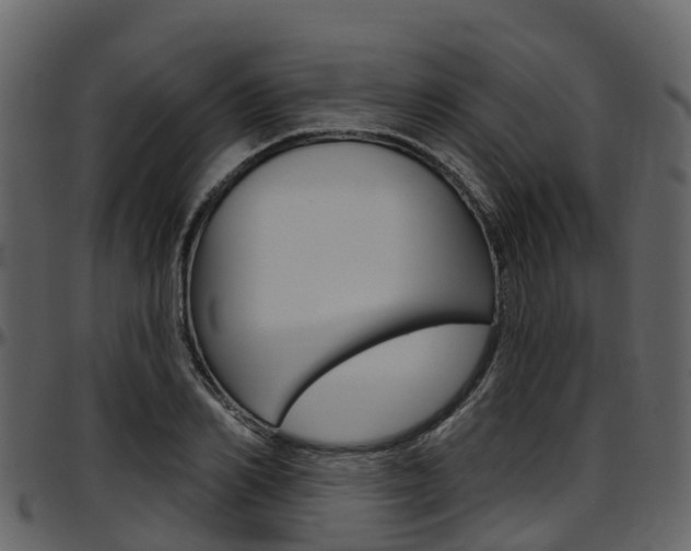 X0000097650982200802290842