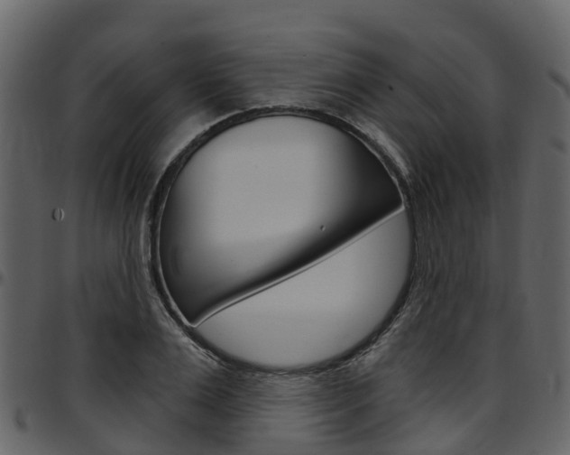 X0000097650983200802290842