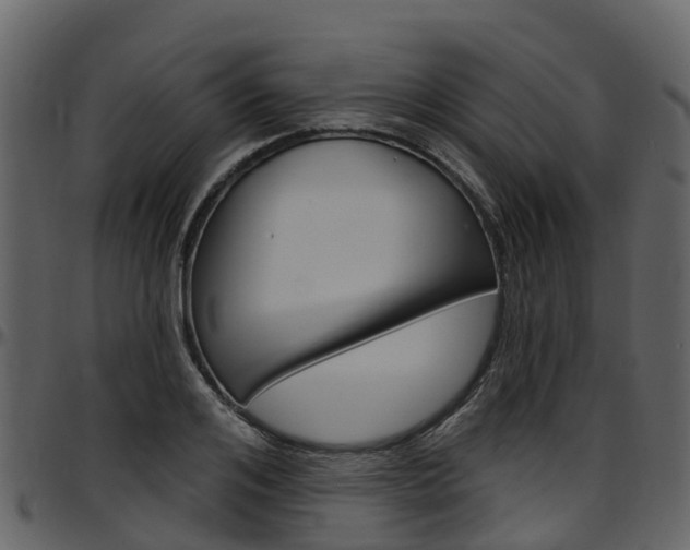 X0000097650984200802290842