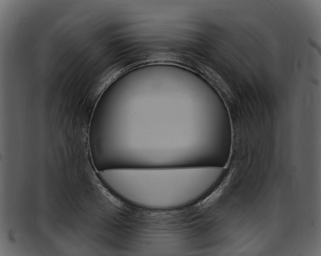 X0000097650985200802290842