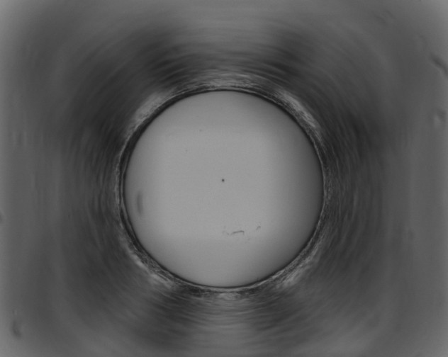 X0000097650986200802290842
