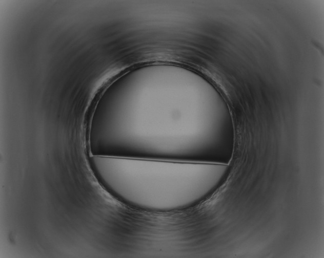 X0000097650987200802290842