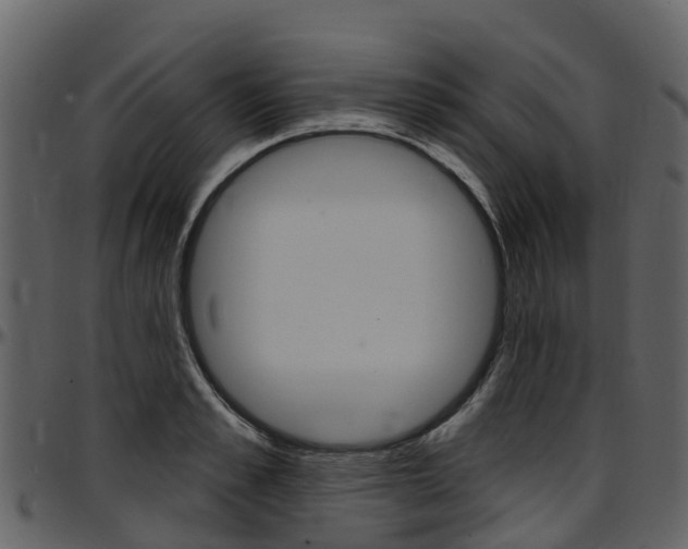 X0000097650989200802290842