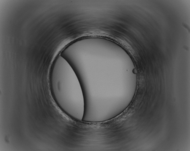 X0000097650990200802290842