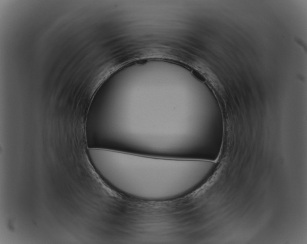 X0000097650993200802290842