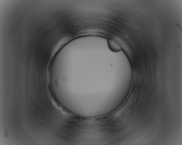 X0000097650994200802290842