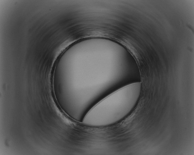 X0000097650995200802290842