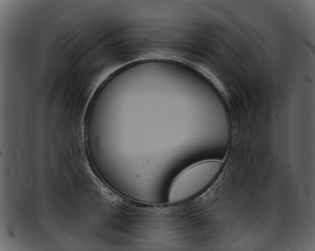 X0000097650996200802290842