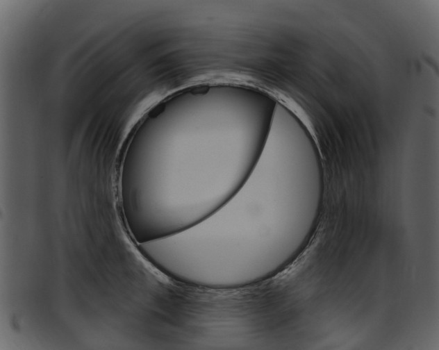 X0000097650997200802290842