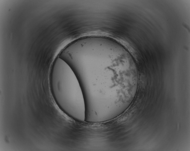 X0000097650998200802290842