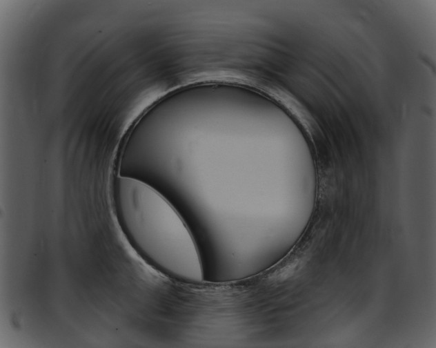 X0000097650999200802290842