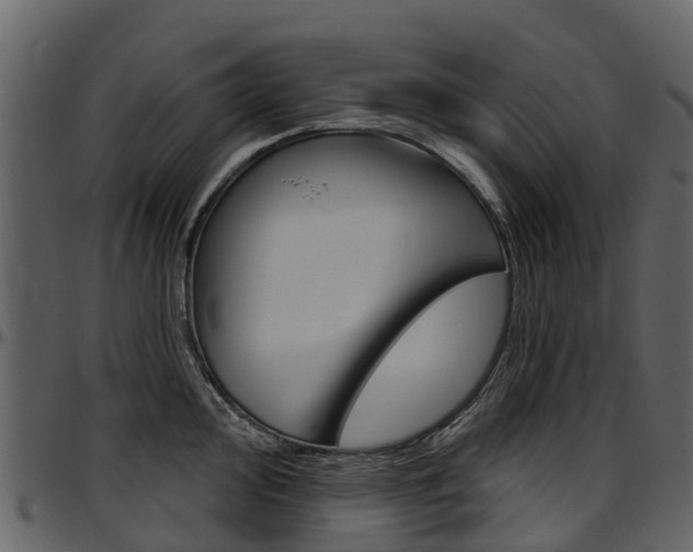 X0000097651000200802290842