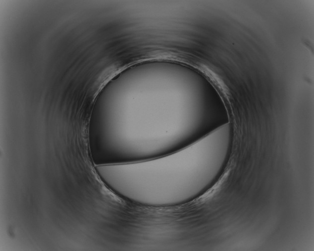 X0000097651001200802290842
