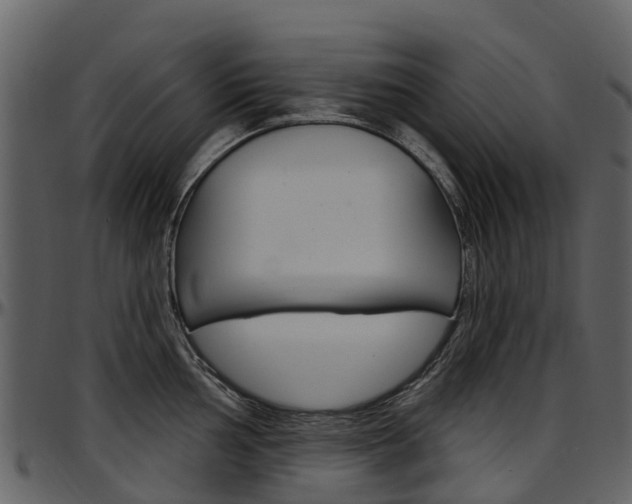 X0000097651002200802290842